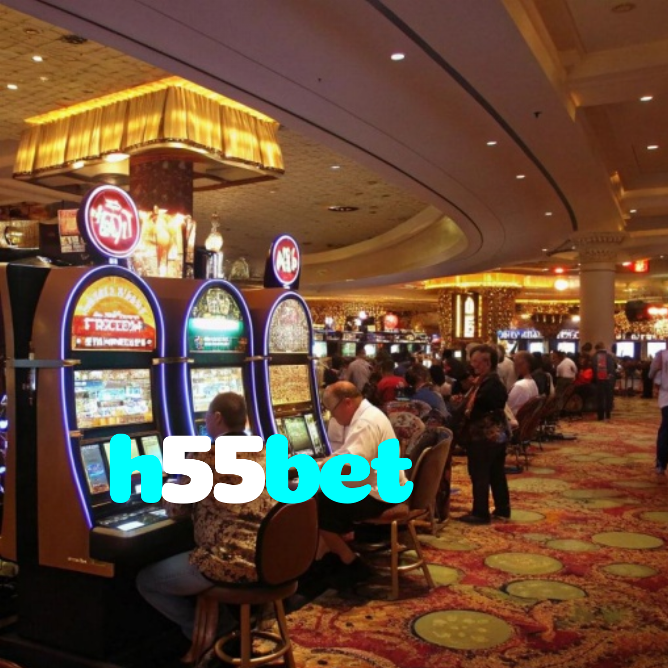 h55bet