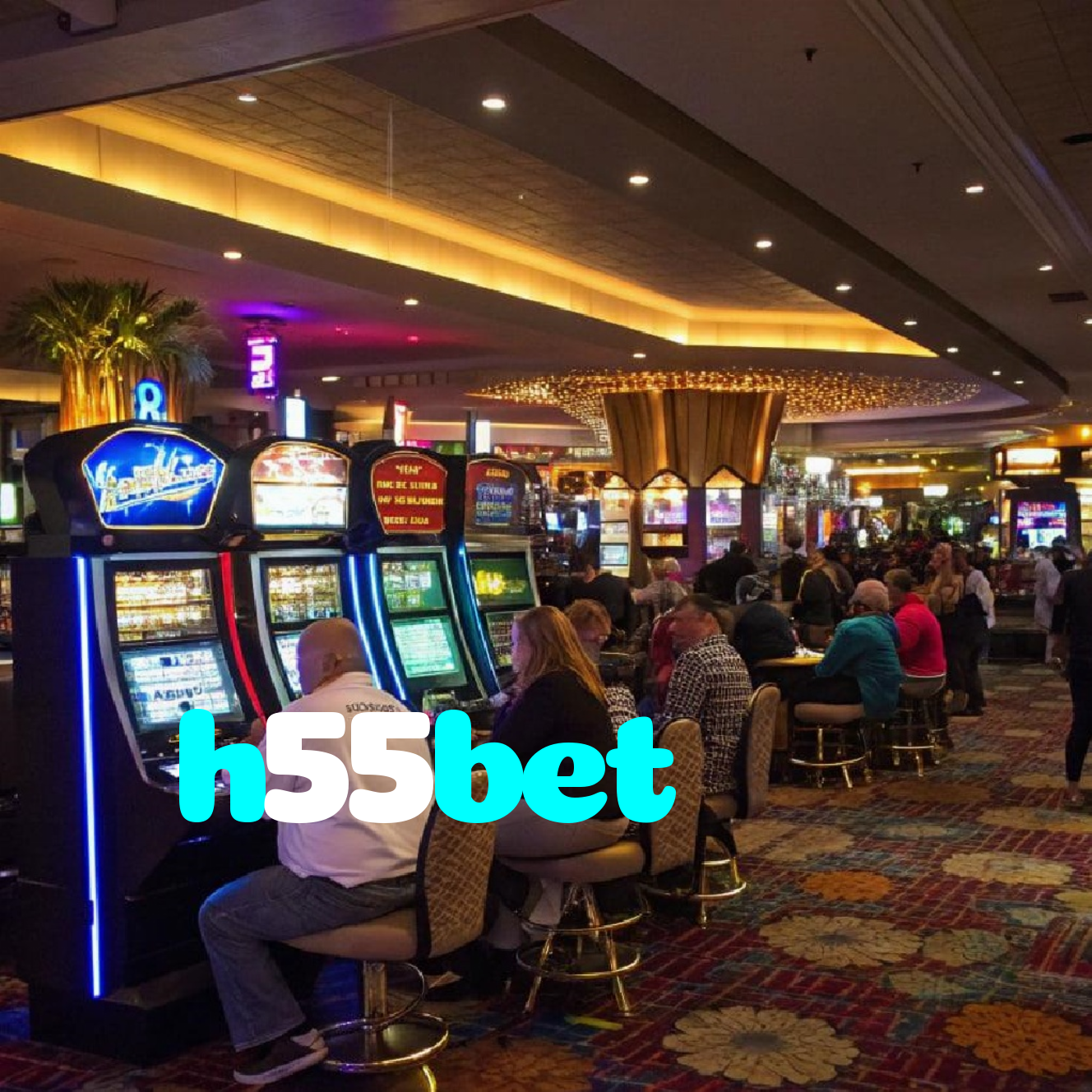 h55bet